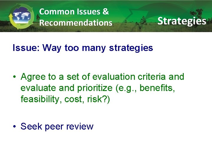 Common Issues & Recommendations Strategies Issue: Way too many strategies • Agree to a