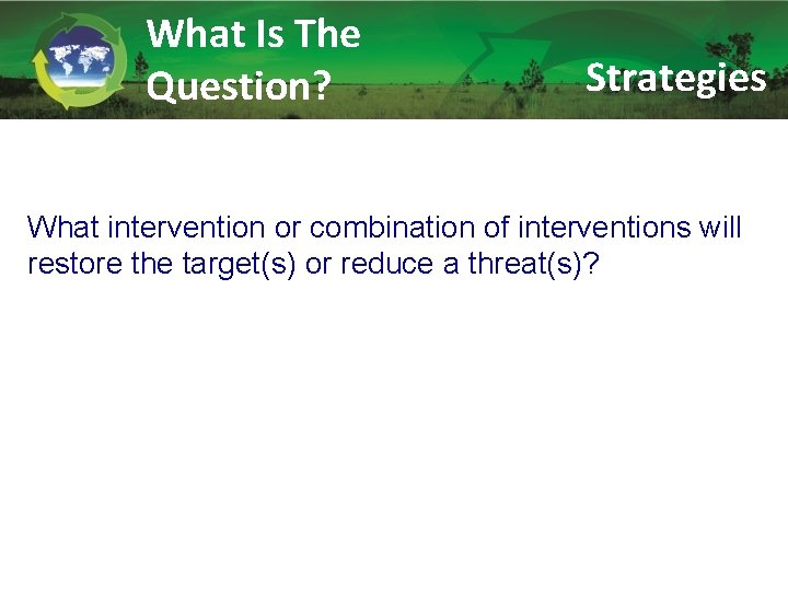 What Is The Question? Strategies What intervention or combination of interventions will restore the