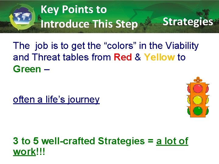 Key Points to Introduce This Step Strategies The job is to get the “colors”