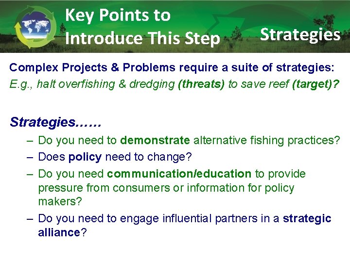 Key Points to Introduce This Step Strategies Complex Projects & Problems require a suite