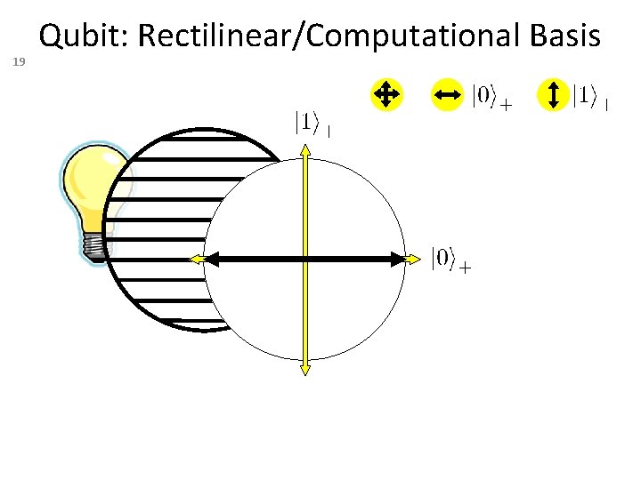 19 Qubit: Rectilinear/Computational Basis 