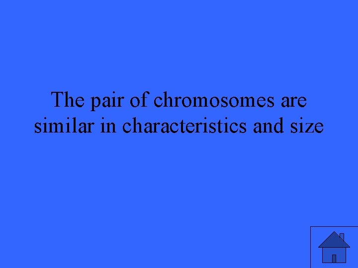 The pair of chromosomes are similar in characteristics and size 