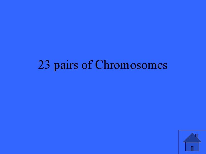 23 pairs of Chromosomes 