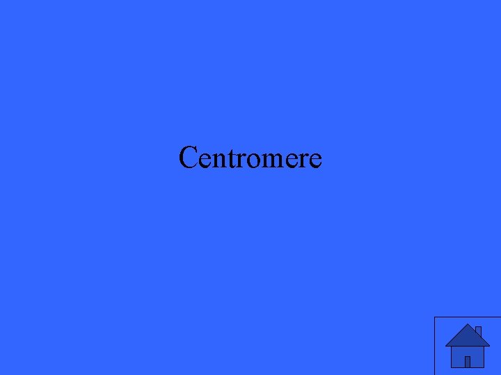 Centromere 