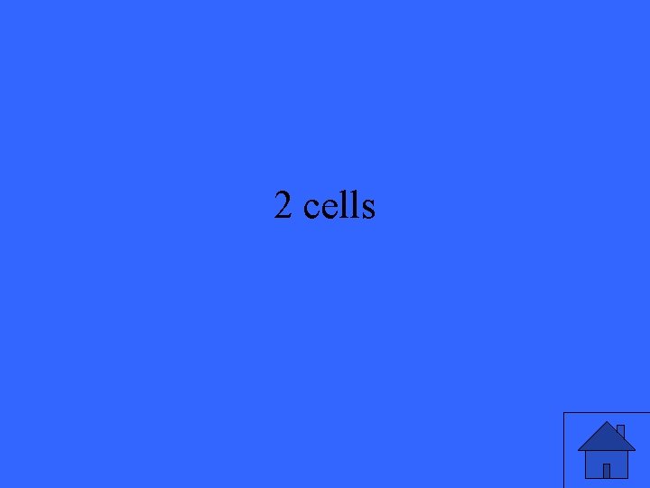 2 cells 