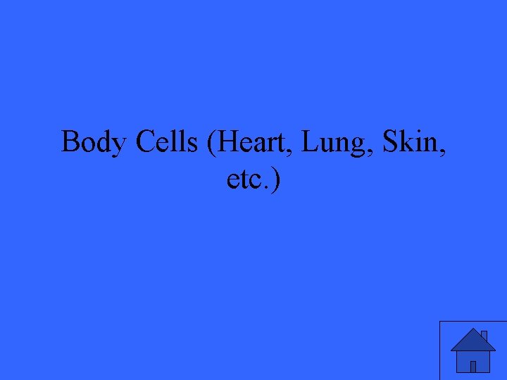 Body Cells (Heart, Lung, Skin, etc. ) 