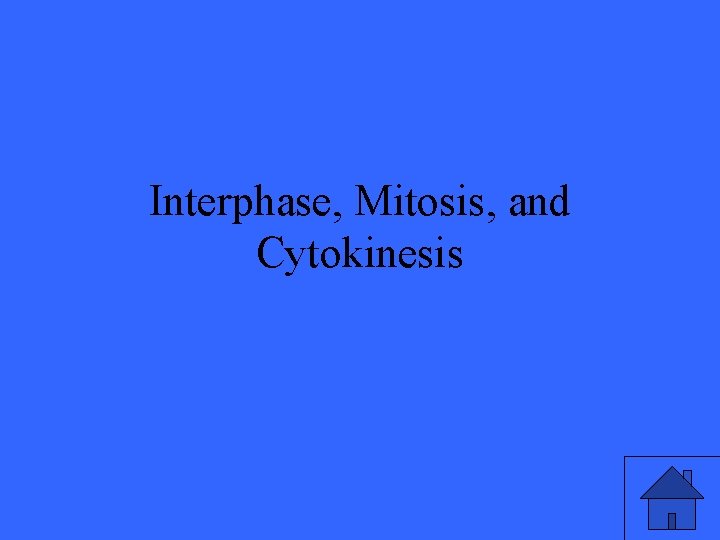 Interphase, Mitosis, and Cytokinesis 