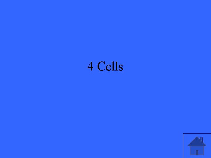 4 Cells 