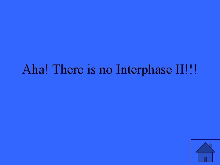 Aha! There is no Interphase II!!! 