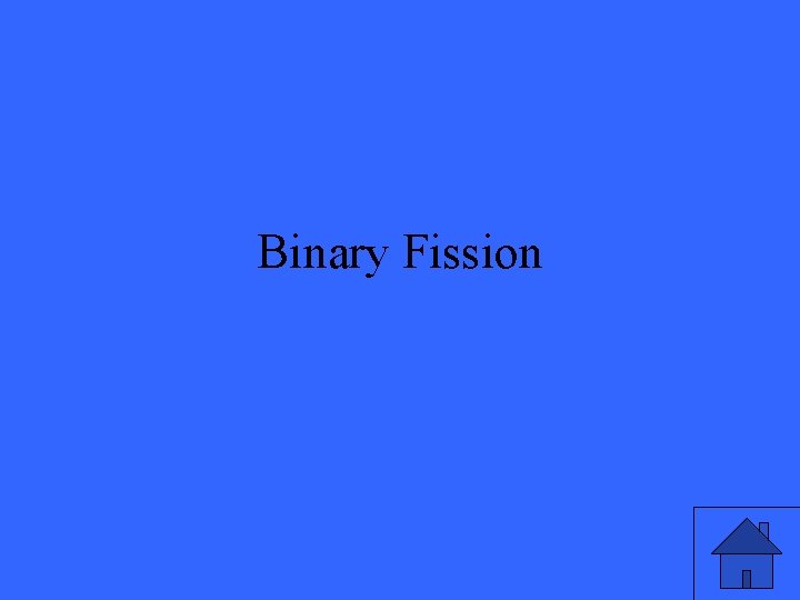 Binary Fission 