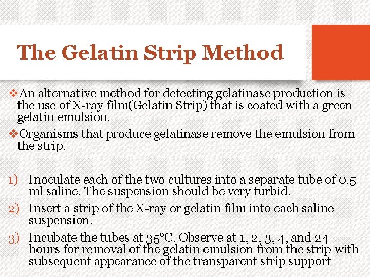 The Gelatin Strip Method v. An alternative method for detecting gelatinase production is the