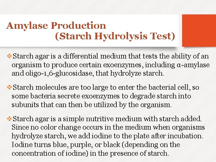 Amylase Production (Starch Hydrolysis Test) v. Starch agar is a differential medium that tests