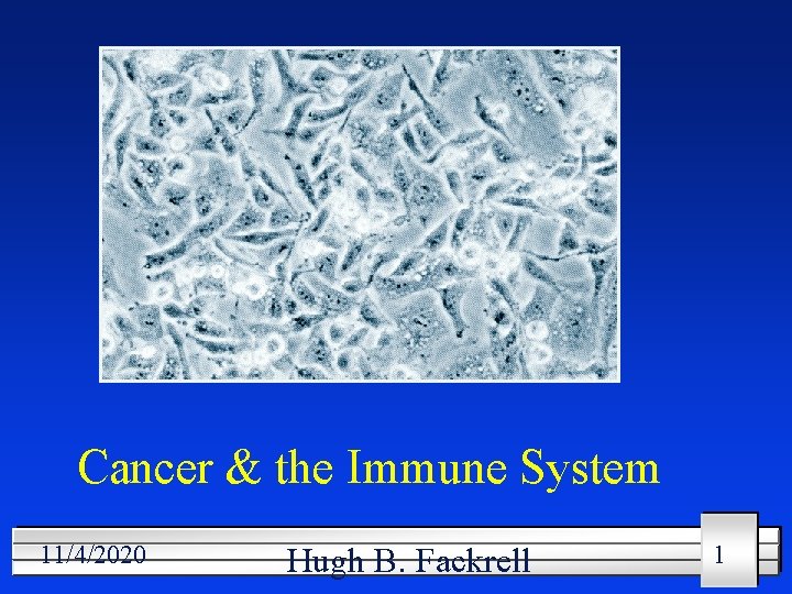 Cancer & the Immune System 11/4/2020 Hugh B. Fackrell 1 