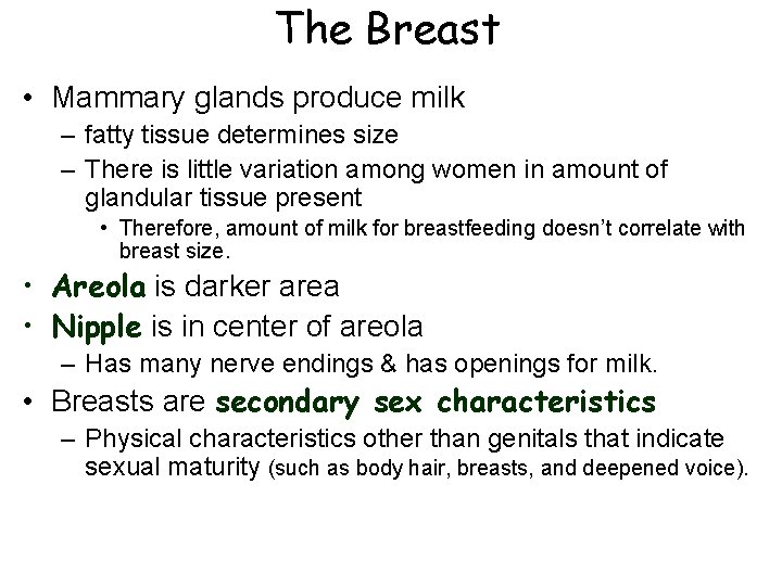 The Breast • Mammary glands produce milk – fatty tissue determines size – There The Breast • Mammary glands produce milk – fatty tissue determines size – There