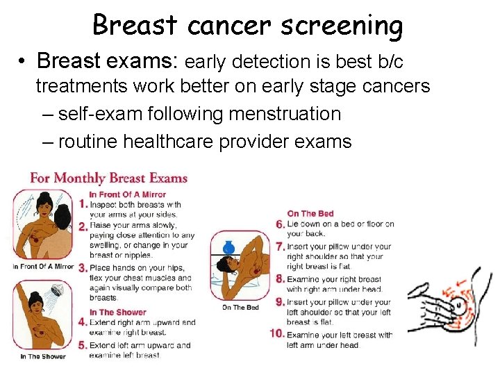 Breast cancer screening • Breast exams: early detection is best b/c treatments work better Breast cancer screening • Breast exams: early detection is best b/c treatments work better