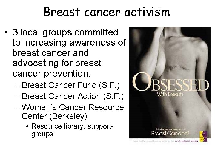 Breast cancer activism • 3 local groups committed to increasing awareness of breast cancer Breast cancer activism • 3 local groups committed to increasing awareness of breast cancer