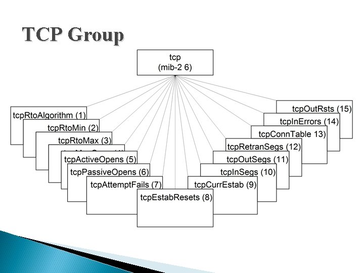 TCP Group TCP Group