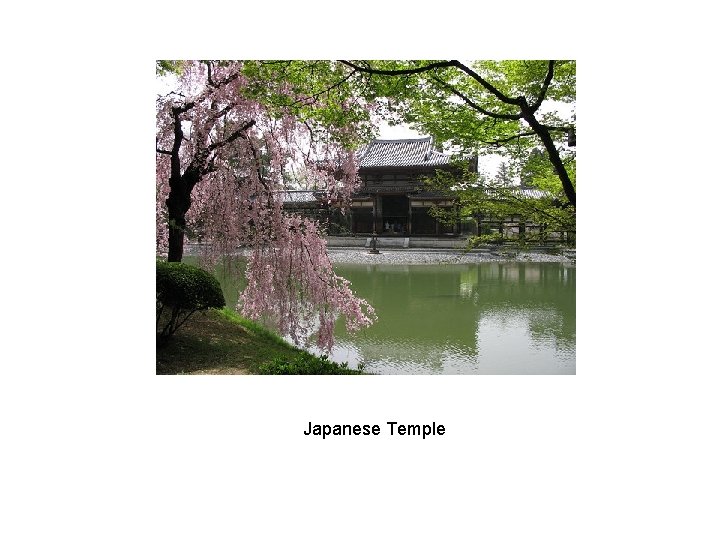 Japanese Temple 