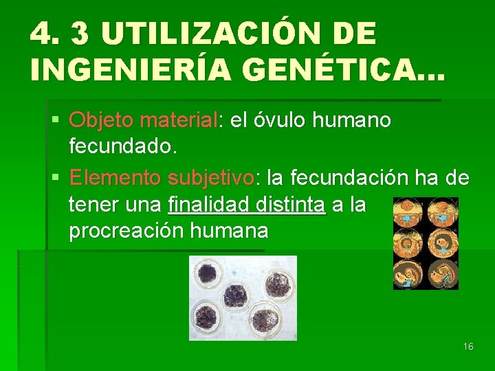 4. 3 UTILIZACIÓN DE INGENIERÍA GENÉTICA… § Objeto material: el óvulo humano fecundado. §