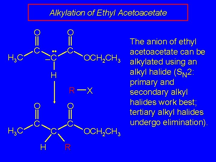 Alkylation of Ethyl Acetoacetate O H 3 C C O • • –C C