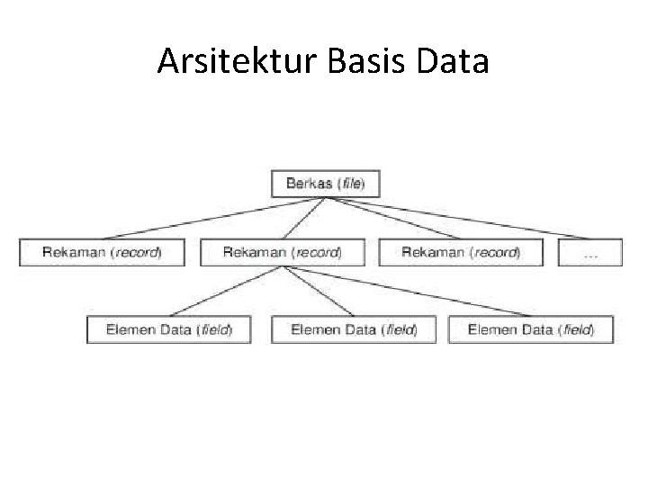 Arsitektur Basis Data 