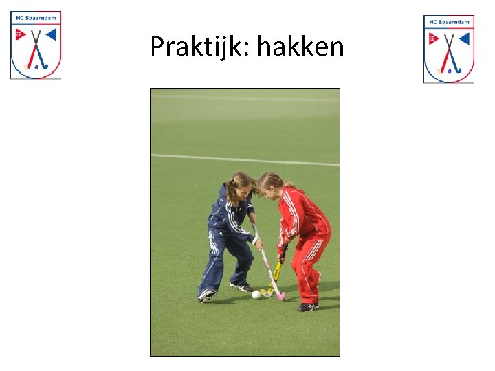 Praktijk: hakken 