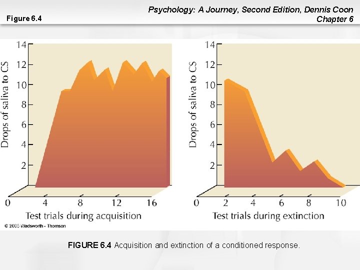 Figure 6. 4 Psychology: A Journey, Second Edition, Dennis Coon Chapter 6 FIGURE 6.