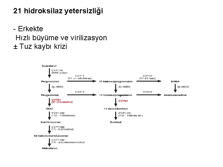 21 hidroksilaz yetersizliği - Erkekte Hızlı büyüme ve virilizasyon ± Tuz kaybı krizi 