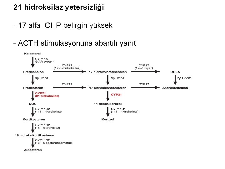 21 hidroksilaz yetersizliği - 17 alfa OHP belirgin yüksek - ACTH stimülasyonuna abartılı yanıt