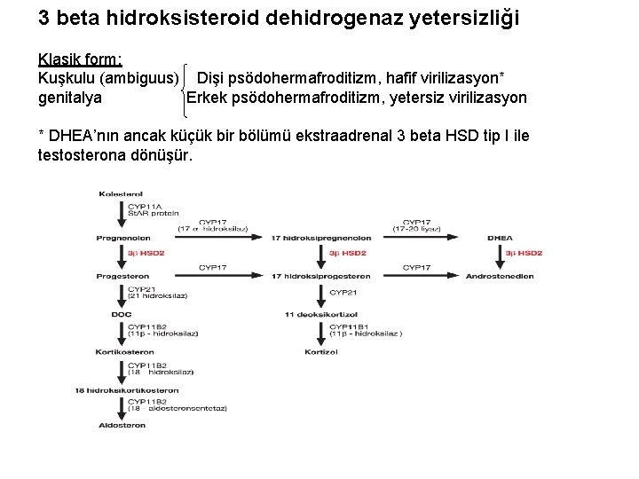 3 beta hidroksisteroid dehidrogenaz yetersizliği Klasik form: Kuşkulu (ambiguus) Dişi psödohermafroditizm, hafif virilizasyon* genitalya 3 beta hidroksisteroid dehidrogenaz yetersizliği Klasik form: Kuşkulu (ambiguus) Dişi psödohermafroditizm, hafif virilizasyon* genitalya