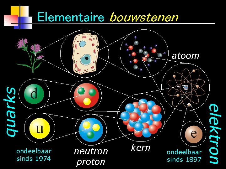 Elementaire bouwstenen ondeelbaar sinds 1974 neutron proton kern ondeelbaar sinds 1897 elektron quarks atoom