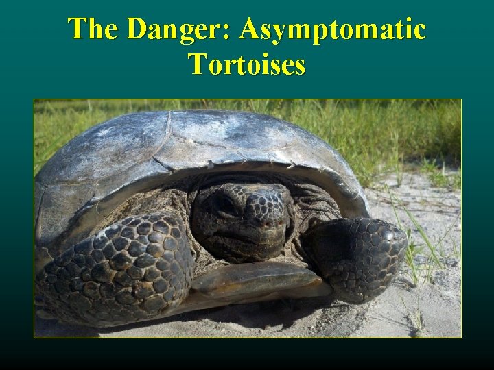 The Danger: Asymptomatic Tortoises 