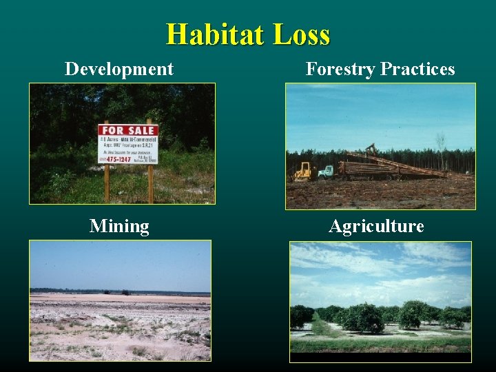 Habitat Loss Development Forestry Practices Mining Agriculture 