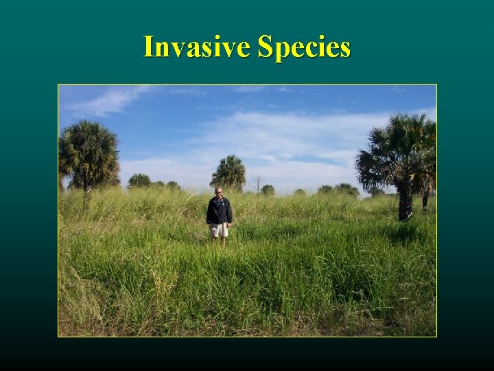 Invasive Species 