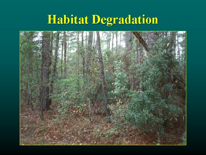 Habitat Degradation 