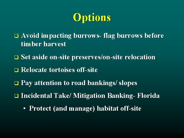 Options q Avoid impacting burrows- flag burrows before timber harvest q Set aside on-site