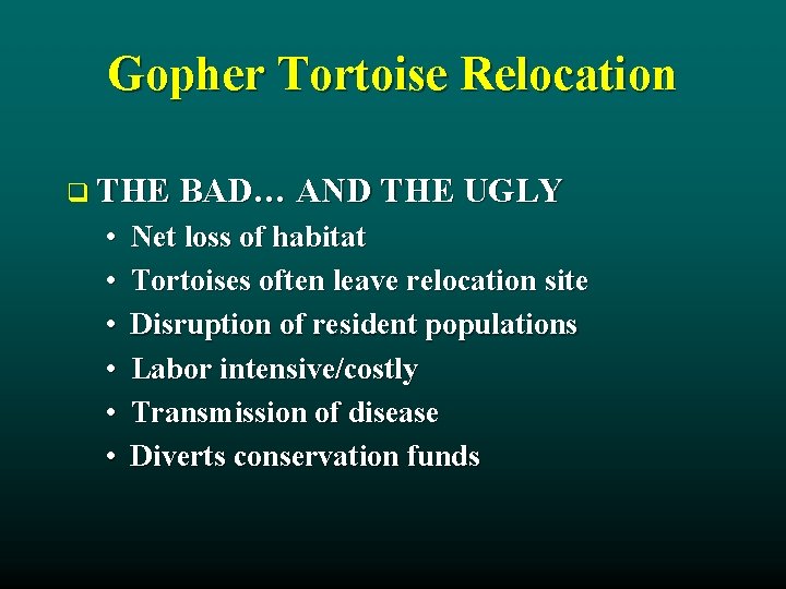 Gopher Tortoise Relocation q THE BAD… AND THE UGLY • • • Net loss