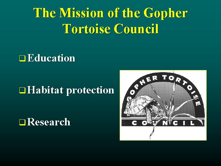 The Mission of the Gopher Tortoise Council q Education q Habitat protection q Research