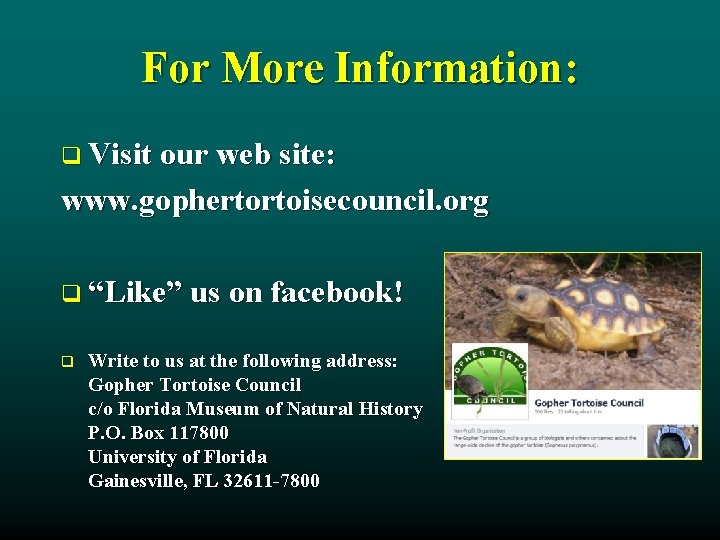 For More Information: q Visit our web site: www. gophertortoisecouncil. org q “Like” us