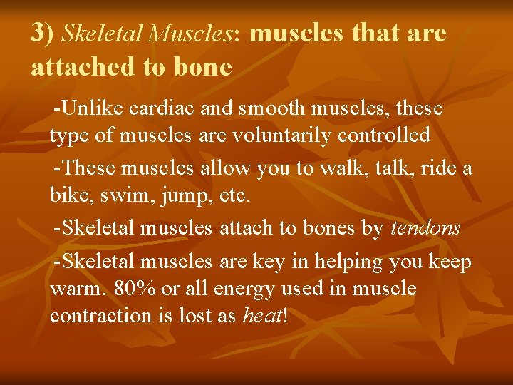 3) Skeletal Muscles: muscles that are attached to bone -Unlike cardiac and smooth muscles,