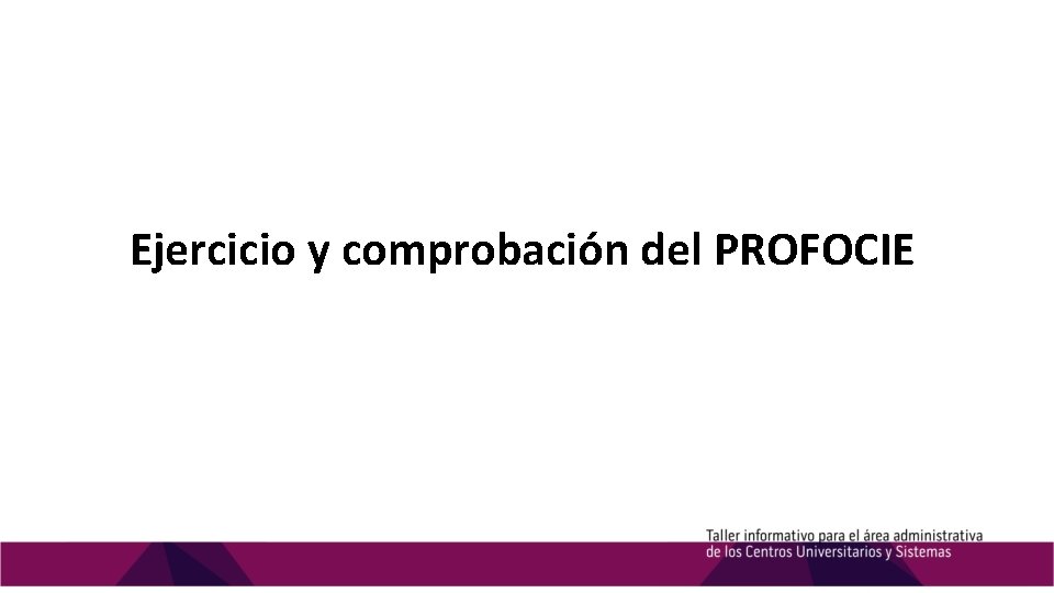 Ejercicio y comprobación del PROFOCIE 