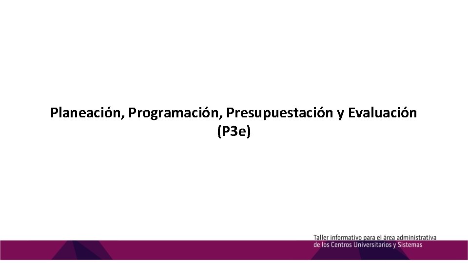 Planeación, Programación, Presupuestación y Evaluación (P 3 e) 