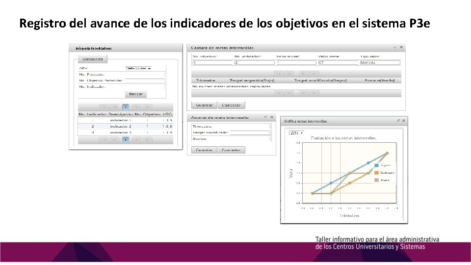 Registro del avance de los indicadores de los objetivos en el sistema P 3 Registro del avance de los indicadores de los objetivos en el sistema P 3