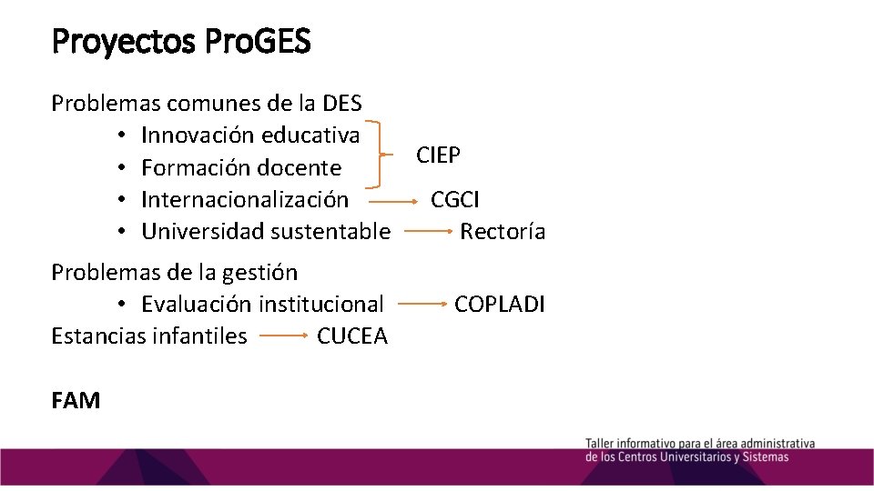 Proyectos Pro. GES Problemas comunes de la DES • Innovación educativa CIEP • Formación