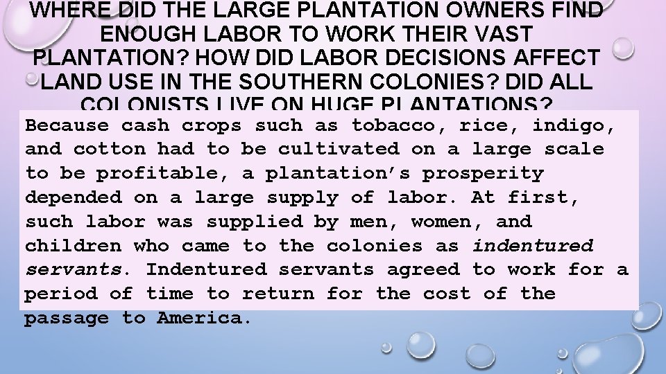 WHERE DID THE LARGE PLANTATION OWNERS FIND ENOUGH LABOR TO WORK THEIR VAST PLANTATION?