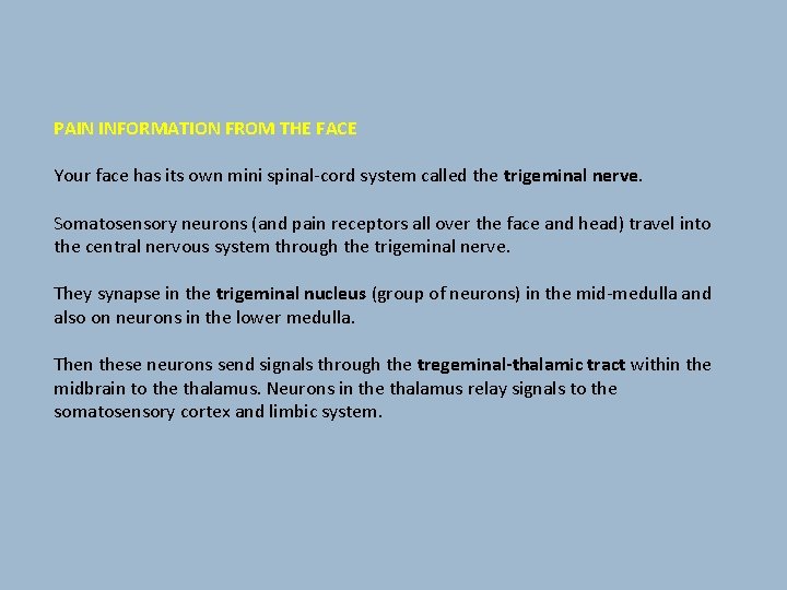 PAIN INFORMATION FROM THE FACE Your face has its own mini spinal-cord system called