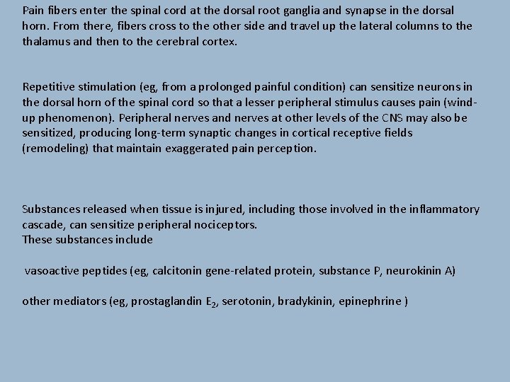 Pain fibers enter the spinal cord at the dorsal root ganglia and synapse in