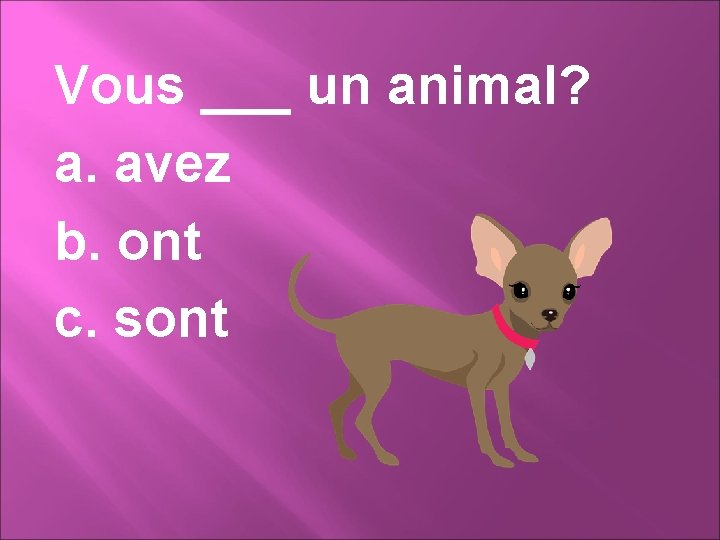 Vous ___ un animal? a. avez b. ont c. sont 