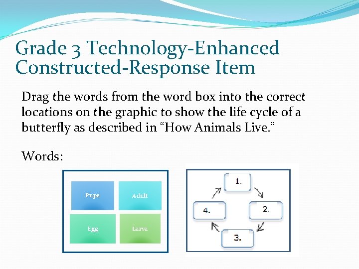 Grade 3 Technology-Enhanced Constructed-Response Item Drag the words from the word box into the