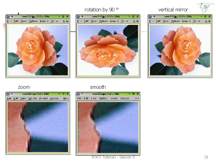 rotation by 90 ° zoom vertical mirror smooth ROOT Tutorials - Session 5 21 rotation by 90 ° zoom vertical mirror smooth ROOT Tutorials - Session 5 21